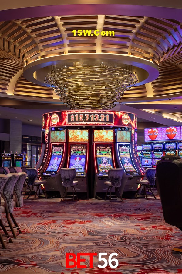 Experiência VIP Bet56
